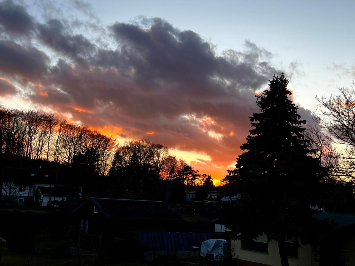 Fewo Sunshine Heringsdorf  Kültér fotó
